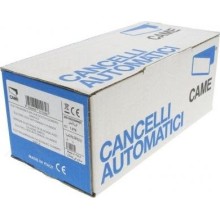 Две пружины направляющей Came 119RIT042