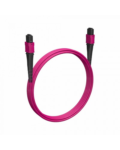 Кабельная сборка MPO(F) -MPO(F)-12 волокон 50/125 OM4, 2 m Cabeus (FOP-50-OM4-12-MPO(F)-12-MPO(F)-B-2m) в Красногорске Кабельные сборки (оптические) Pintop.ru