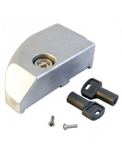 Дверца замка разблокировки BK Came 119RIBK012 в Красногорске Запчасти для шлагбаумов и автоматики Pintop.ru