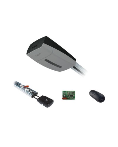 Came V10DMS3.25 KIT (до 3,25 м до 18 м2) - Комплект автоматики для секционных ворот высотой до 2,7 м на основе привода VER10DMS в Красногорске Автоматизация ворот Pintop.ru