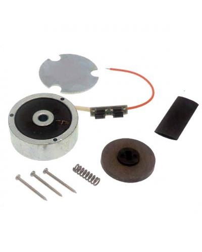 Электромагнит ATI 24 в сборе Came 119RID140 в Красногорске Запчасти для шлагбаумов и автоматики Pintop.ru