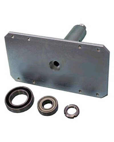 Электромагнит с механизмом разблокировки Came 119RIH022 в Красногорске Запчасти для шлагбаумов и автоматики Pintop.ru