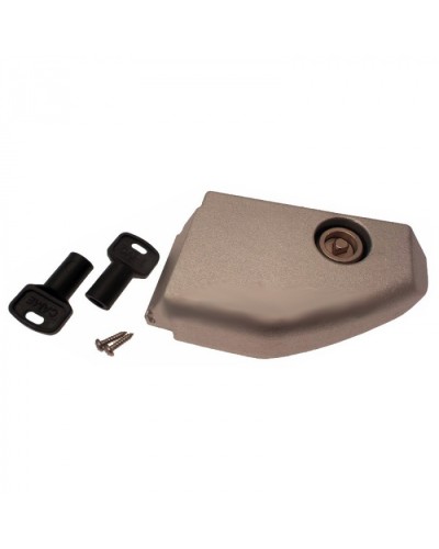 Дверца разблокировки с замком BX Came 119RIBX008 в Красногорске Запчасти для шлагбаумов и автоматики Pintop.ru