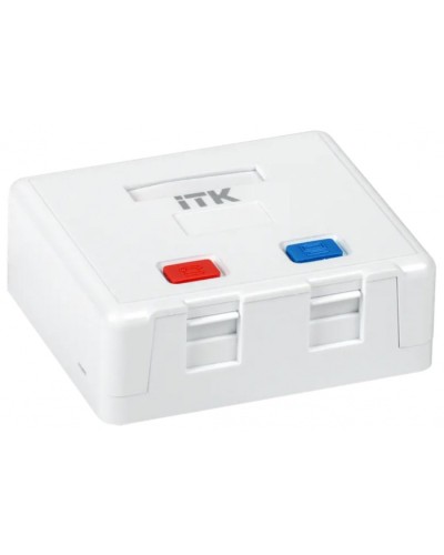 Корпус настенной розетки для 2 мод. Keystone Jack ITK (CS2-022) в Красногорске Коннекторы Pintop.ru