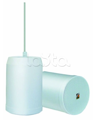 Громкоговоритель встраиваемый ROXTON SP-20T в Красногорске Система оповещения и трансляции Roxton Pintop.ru