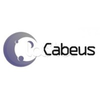 Стяжка нейлоновая неоткрывающаяся, безгалогенная (halogen free), 110x2.5мм, с площадкой для маркера (100 шт) Cabeus GTM-110