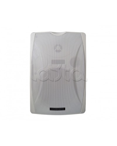 IP-громкоговоритель DSPPA POE-6463W в Красногорске Система оповещения и трансляции Dsppa Pintop.ru