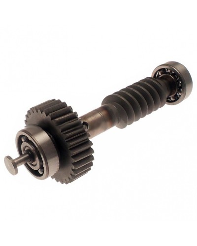 Червяк редуктора FAST в сборе Came 119RID228 в Красногорске Запчасти для шлагбаумов и автоматики Pintop.ru