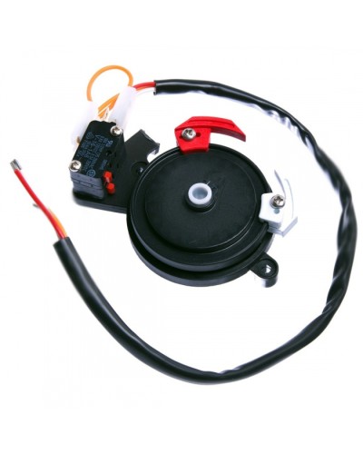 Концевые микровыключатели в сборе BX-243 Came 119RIBX041 в Красногорске Запчасти для шлагбаумов и автоматики Pintop.ru