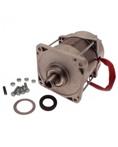 Электродвигатель FERNI Came 119RID087 в Красногорске Запчасти для шлагбаумов и автоматики Pintop.ru