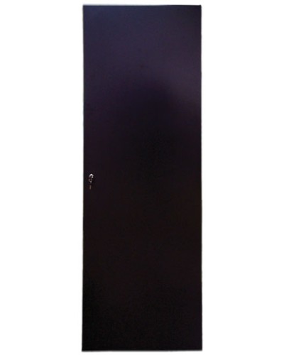 Дверь задняя для шкафов серии Business металл, 42U, ширина 600 мм TWT TWT-CBB-DRM1-42U-6 в Красногорске Аксессуары для стоек и шкафов Pintop.ru