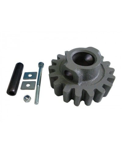 Шестерня ведущая ВК Came 119RIBK002 в Красногорске Запчасти для шлагбаумов и автоматики Pintop.ru