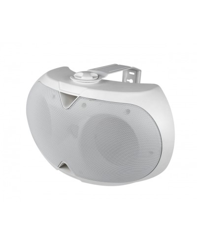 Громкоговоритель настенный 2-х полосный VOLTA ELLIPSE-2440TW в Красногорске Система оповещения и трансляции Volta Pintop.ru