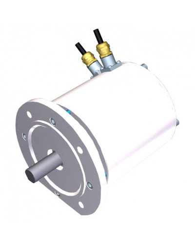 Электродвигатель FROG-MS Came 119RIA081 в Красногорске Запчасти для шлагбаумов и автоматики Pintop.ru