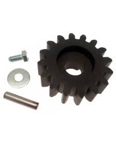 Шестерня для цепной передачи Came 119RIBK036 в Красногорске Запчасти для шлагбаумов и автоматики Pintop.ru
