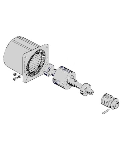 Электродвигатель С-100 Came 119RIC052 в Красногорске Запчасти для шлагбаумов и автоматики Pintop.ru