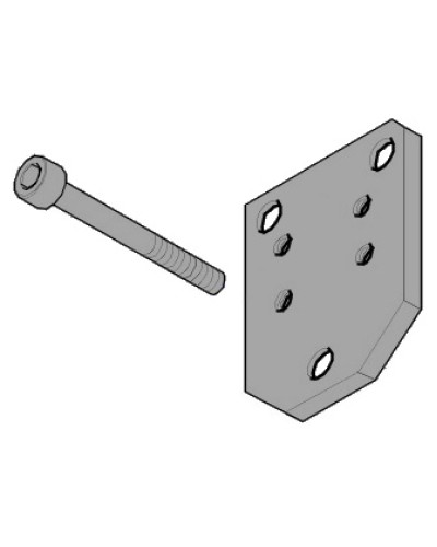 Пластина монтажная FLEX Came 119RID143 в Красногорске Запчасти для шлагбаумов и автоматики Pintop.ru