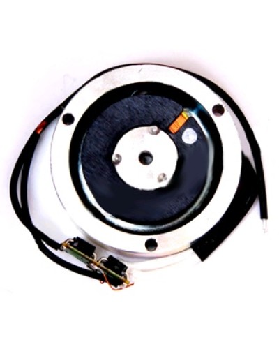 Электромагнит BY1500T Came 119RIY034 в Красногорске Запчасти для шлагбаумов и автоматики Pintop.ru