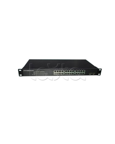 PoE-Коммутатор EverFocus ACE-224PG в Красногорске Коммутаторы Pintop.ru