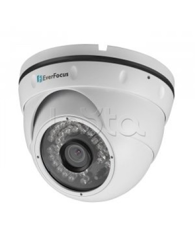 IP-камера видеонаблюдения купольная EverFocus ACE-IAV30 в Красногорске IP-камеры Pintop.ru