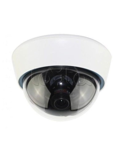 IP-камера видеонаблюдения купольная EverFocus ACE-IOV20A в Красногорске IP-камеры Pintop.ru