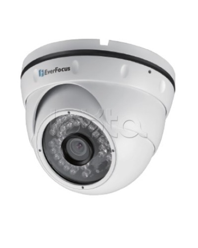 IP-камера видеонаблюдения уличная купольная EverFocus EBN-268 в Красногорске IP-камеры Pintop.ru