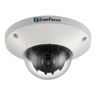 IP-камера видеонаблюдения купольная EverFocus EDN-228