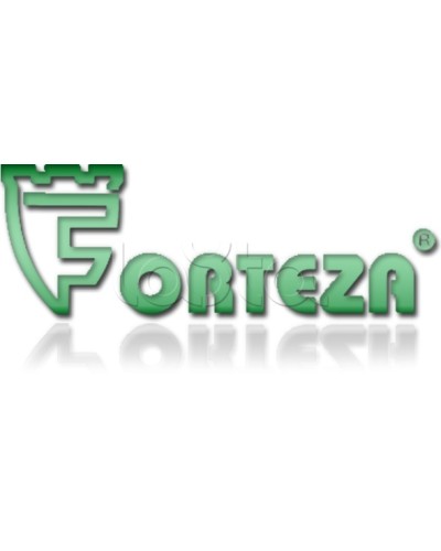 Плата сменная Forteza Плата БГр-4 в Красногорске Устройства защиты операционных процессоров (ОПС) Pintop.ru