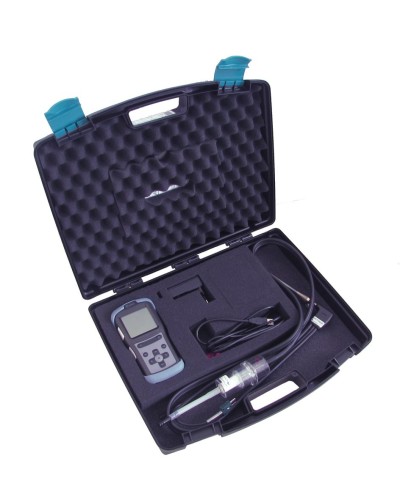 Газоанализатор Seitron CHEMIST 101 в Красногорске Технологические извещатели Pintop.ru