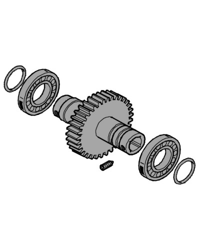 Вал выходной EMEGA Came 119RIE062 в Красногорске Запчасти для шлагбаумов и автоматики Pintop.ru