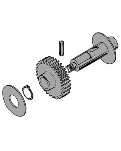 Вал в сборе C100 Came 119RIC011 в Красногорске Запчасти для шлагбаумов и автоматики Pintop.ru