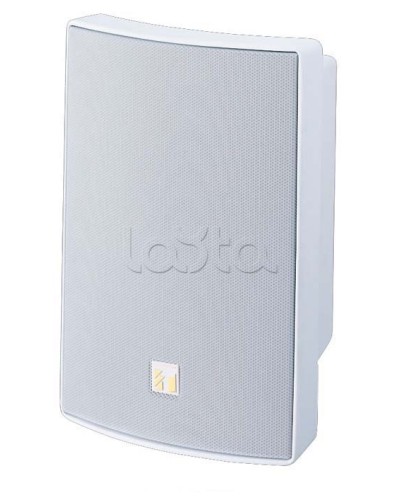 Громкоговоритель универсальный двухполосный TOA BS-1030W в Красногорске Системы оповещения и трансляции TOA Pintop.ru