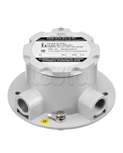 Коробка коммутационная взрывозащищенная Эридан ККВ-07е-Ex-А-Р1-У-БК1 в Красногорске Комутационные взрывозащищенные коробки Pintop.ru