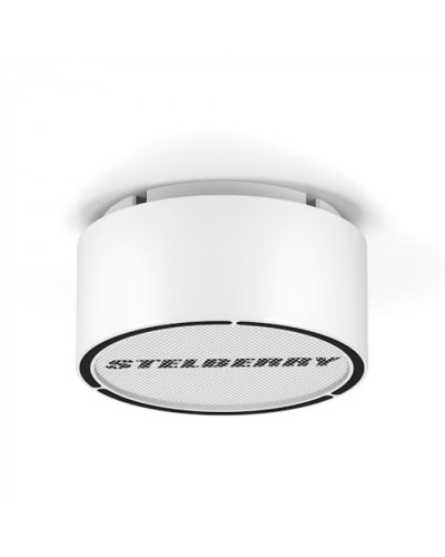 Громкоговоритель STELBERRY F-306W в Красногорске Акустические системы Pintop.ru