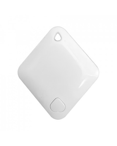 Брелок-идентификатор BLE ProxWay PW-Tag S1 W в Красногорске Оптовые идентификаторы Pintop.ru