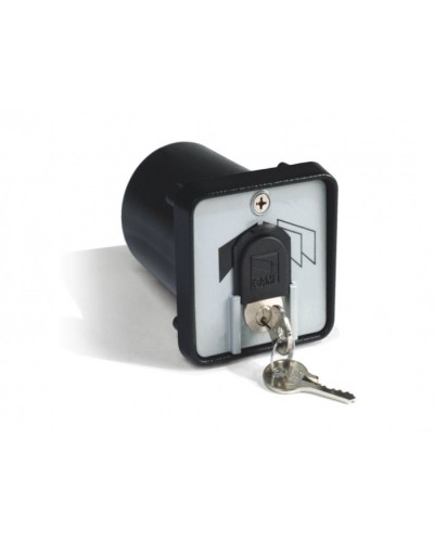 Ключ-выключатель с защитой цилиндра, встраиваемый Came 001SET-K в Красногорске Запчасти для шлагбаумов и автоматики Pintop.ru