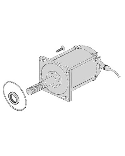 Электродвигатель Came 119RIA025 в Красногорске Запчасти для шлагбаумов и автоматики Pintop.ru